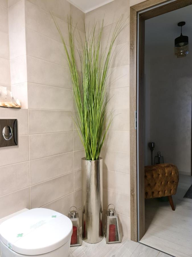 Apartment Alonisos Lux Μπρασόβ Εξωτερικό φωτογραφία