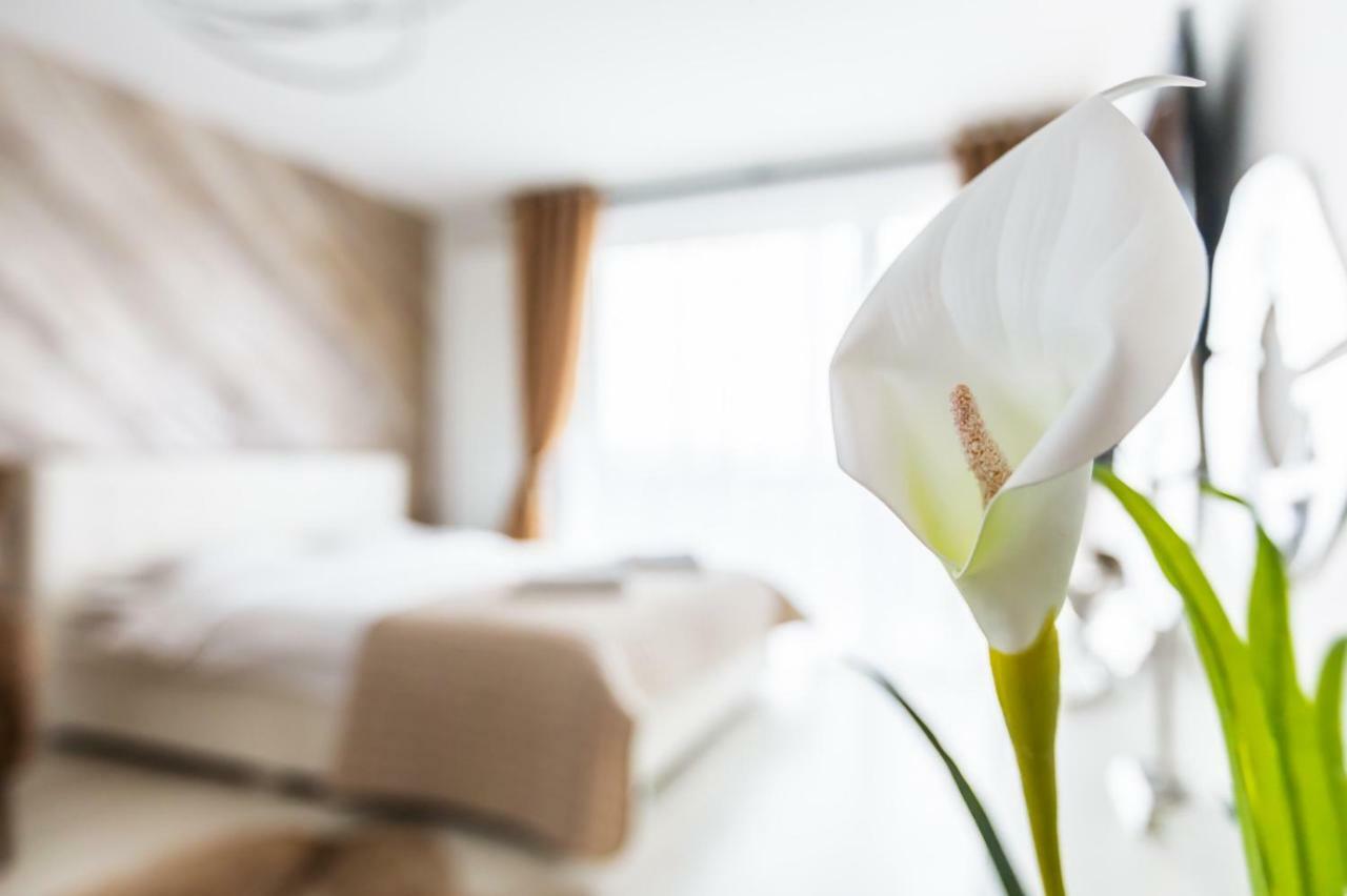 Apartment Alonisos Lux Μπρασόβ Εξωτερικό φωτογραφία