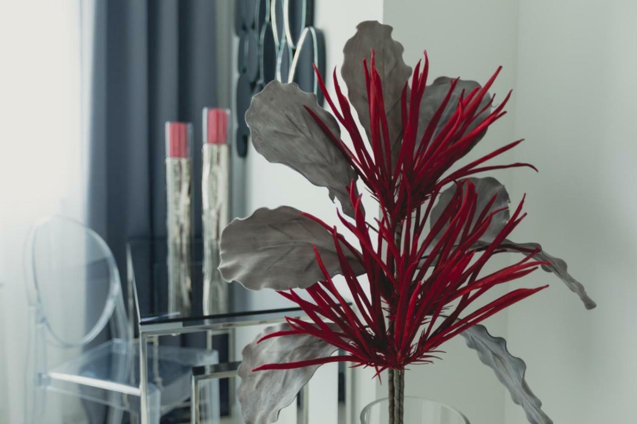 Apartment Alonisos Lux Μπρασόβ Εξωτερικό φωτογραφία