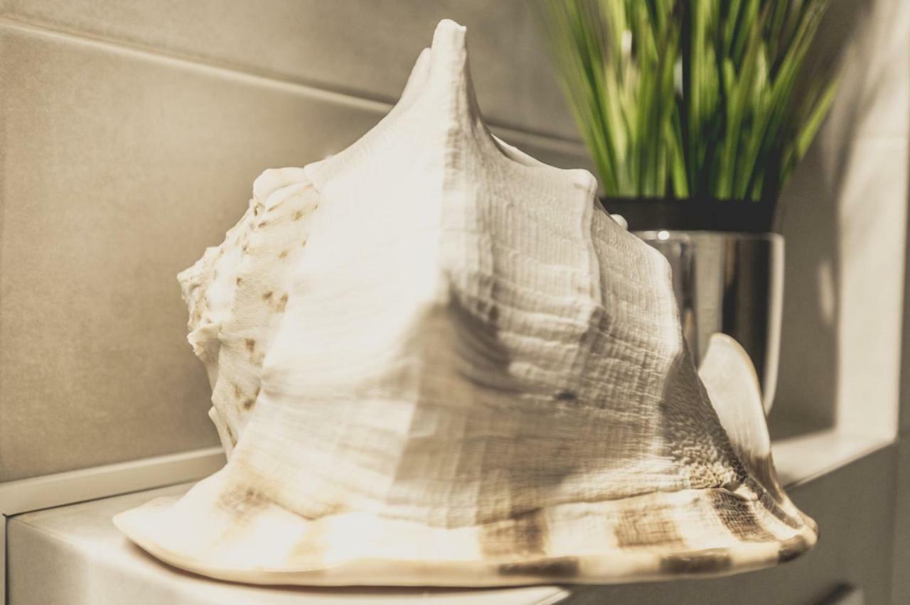Apartment Alonisos Lux Μπρασόβ Εξωτερικό φωτογραφία